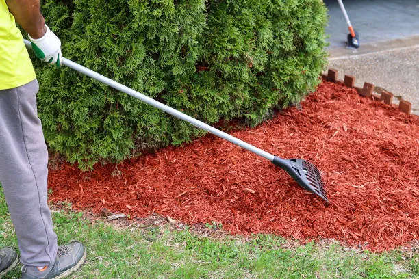 Different Types Of Mulch in Norfolk, VA