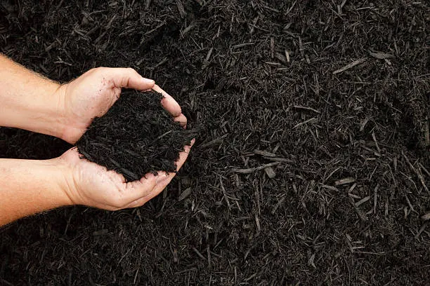 Different Types Of Mulch in Norfolk, VA