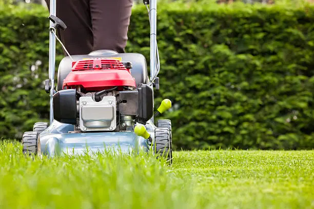 How Long Does It Take To Mow A Lawn in Norfolk, VA