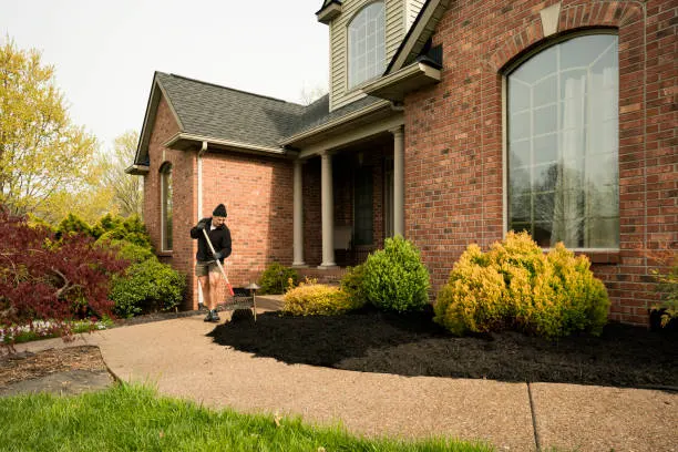 How Long Does Mulch Last in Norfolk, VA