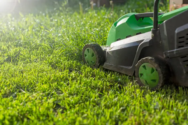 How Often Should You Mow Your Lawn in Norfolk, VA
