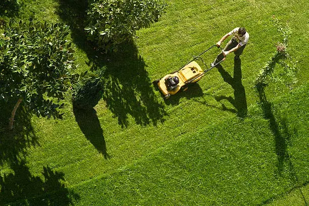 How Often Should You Mow Your Lawn in Norfolk, VA