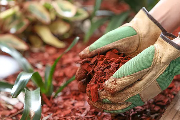 Mulch Installation in Norfolk, VA