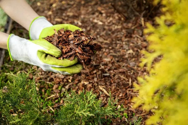 Quality Mulch Installation in Norfolk, VA