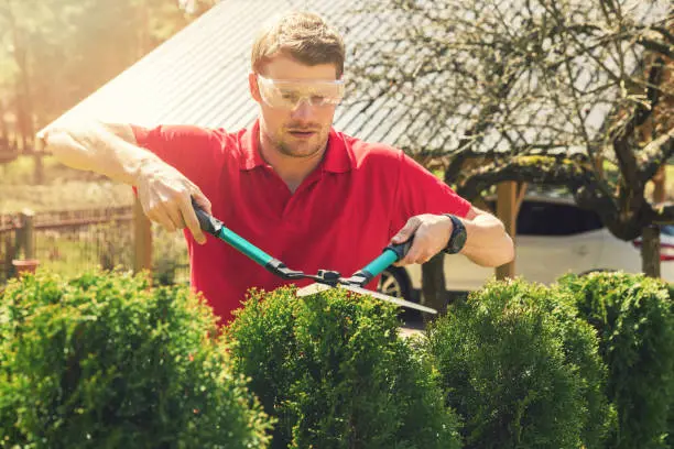When To Trim Bushes And Shrubs in Norfolk, VA When To Trim Bushes And Shrubs in Norfolk, VA