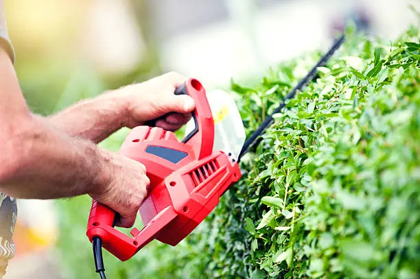 When To Trim Bushes And Shrubs in Norfolk, VA When To Trim Bushes And Shrubs in Norfolk, VA